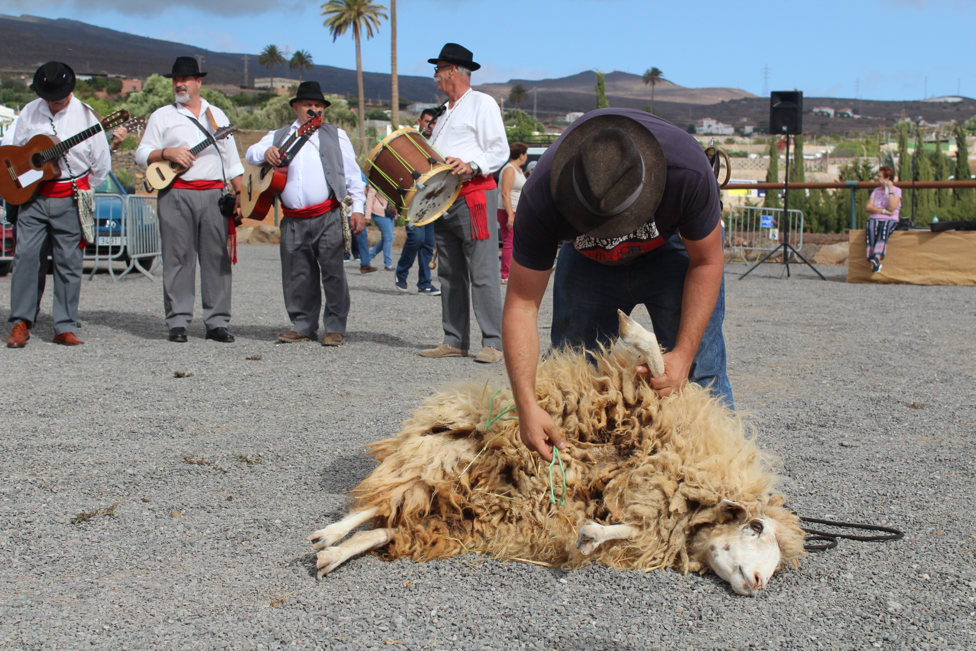 Featured image for “El municipio rinde homenaje a los hombres y mujeres del sector primario.”