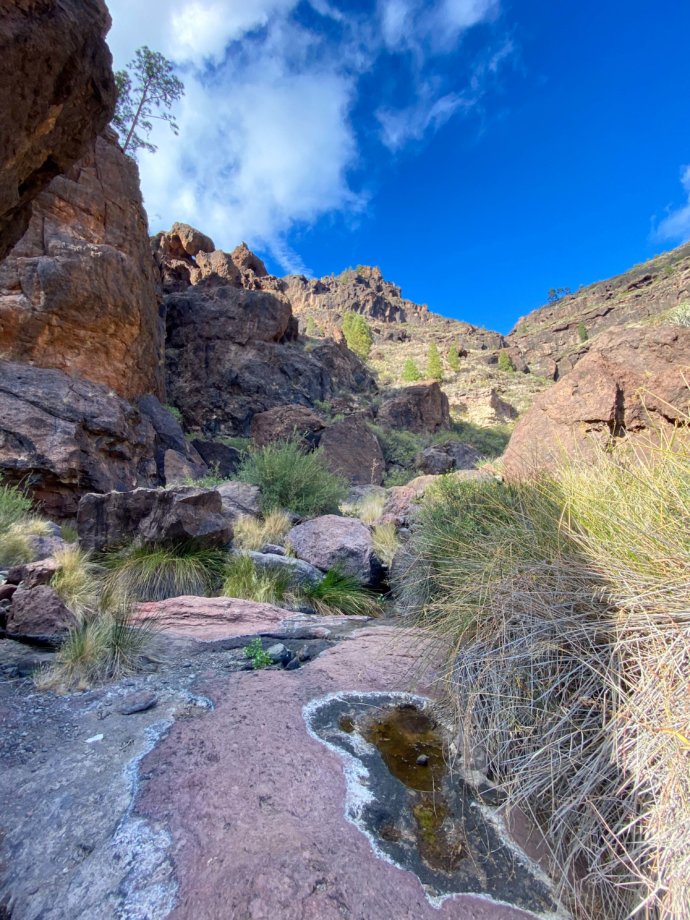 Featured image for “Se abren las inscripciones para las actividades de enero del programa Invierno Joven 2026. ”