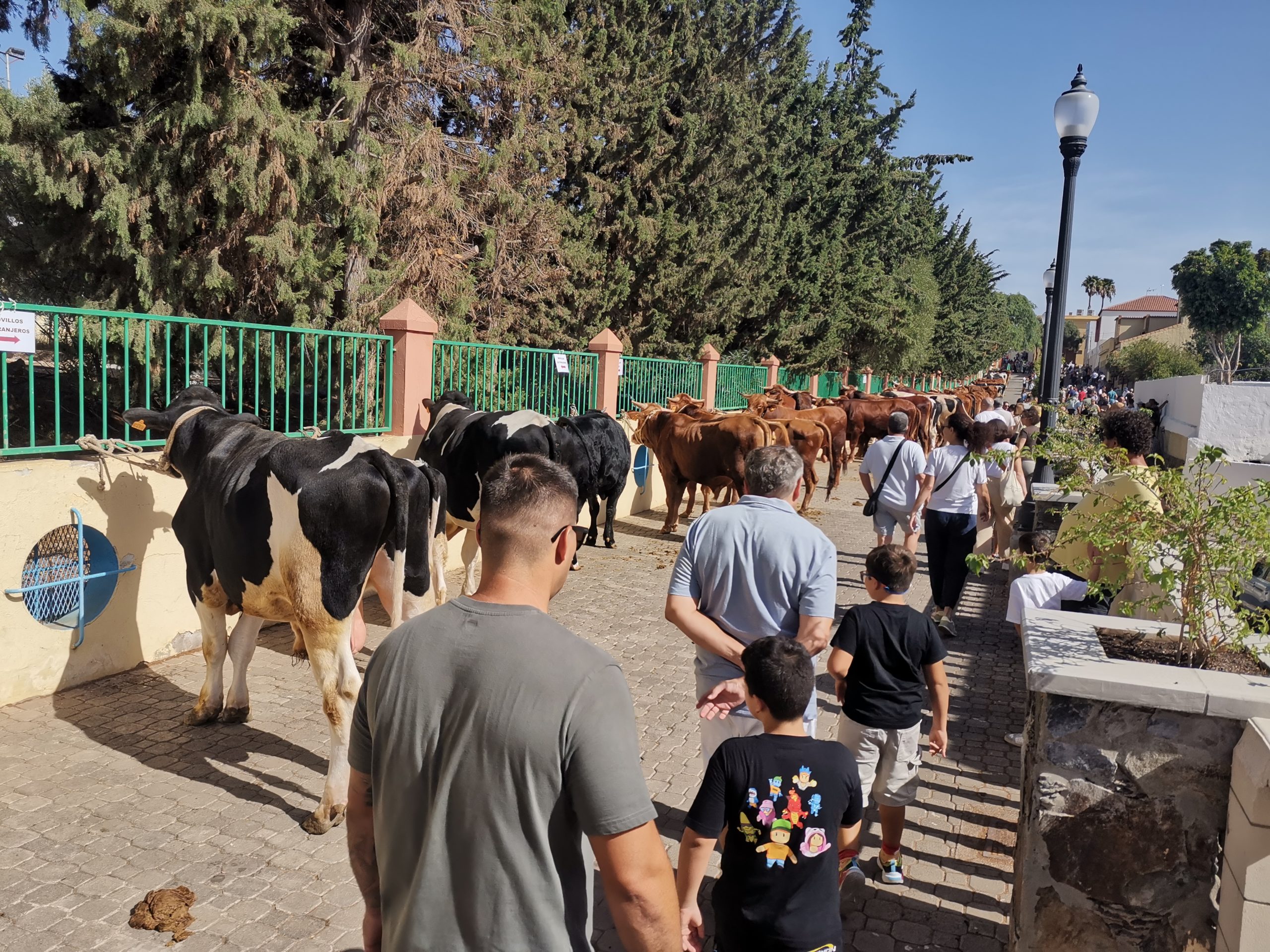 Featured image for “Un paseo de tradición por el casco histórico de Agüimes para cerrar las Fiestas del Rosario.”
